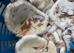 เนื้อเสียประจำ