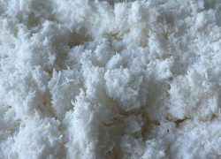 LINE_ALBUM_Kala_250502_7